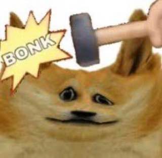 photo_2024-02-03 16.38.37.jpeg